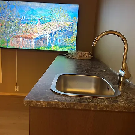 Townhouse In Sentrum